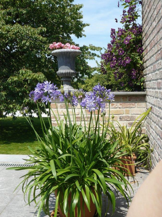 B&B Casabelle Boekhoute Bagian luar foto