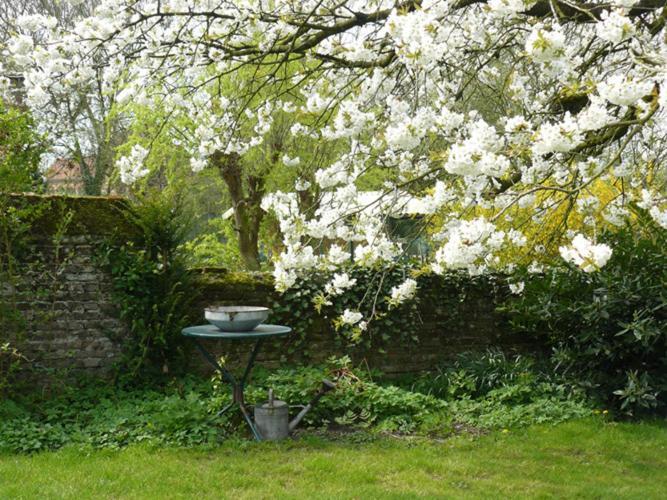 B&B Casabelle Boekhoute Bagian luar foto